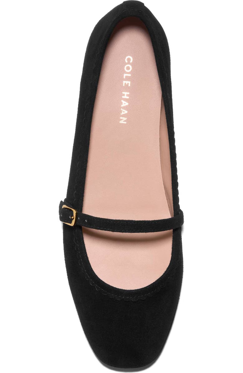 Cole Haan Yelena Mary Jane Flat, Alternate, color, Black Suede