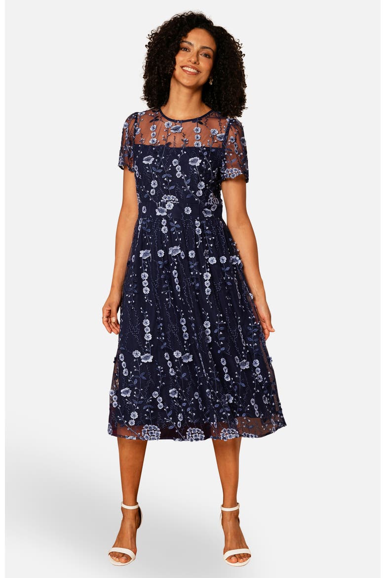Embroidered Mesh Midi Dress, Main, color, Navy