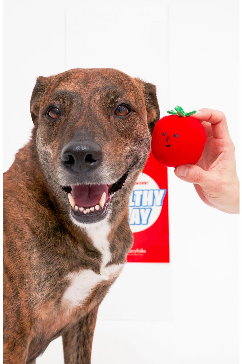 Cherry Tomato Nosework & Tug Toy, Alternate, color, RED
