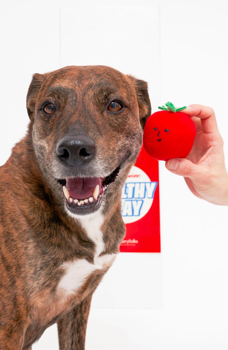 the furryfolks Cherry Tomato Nosework & Tug Toy, Alternate, color, Red