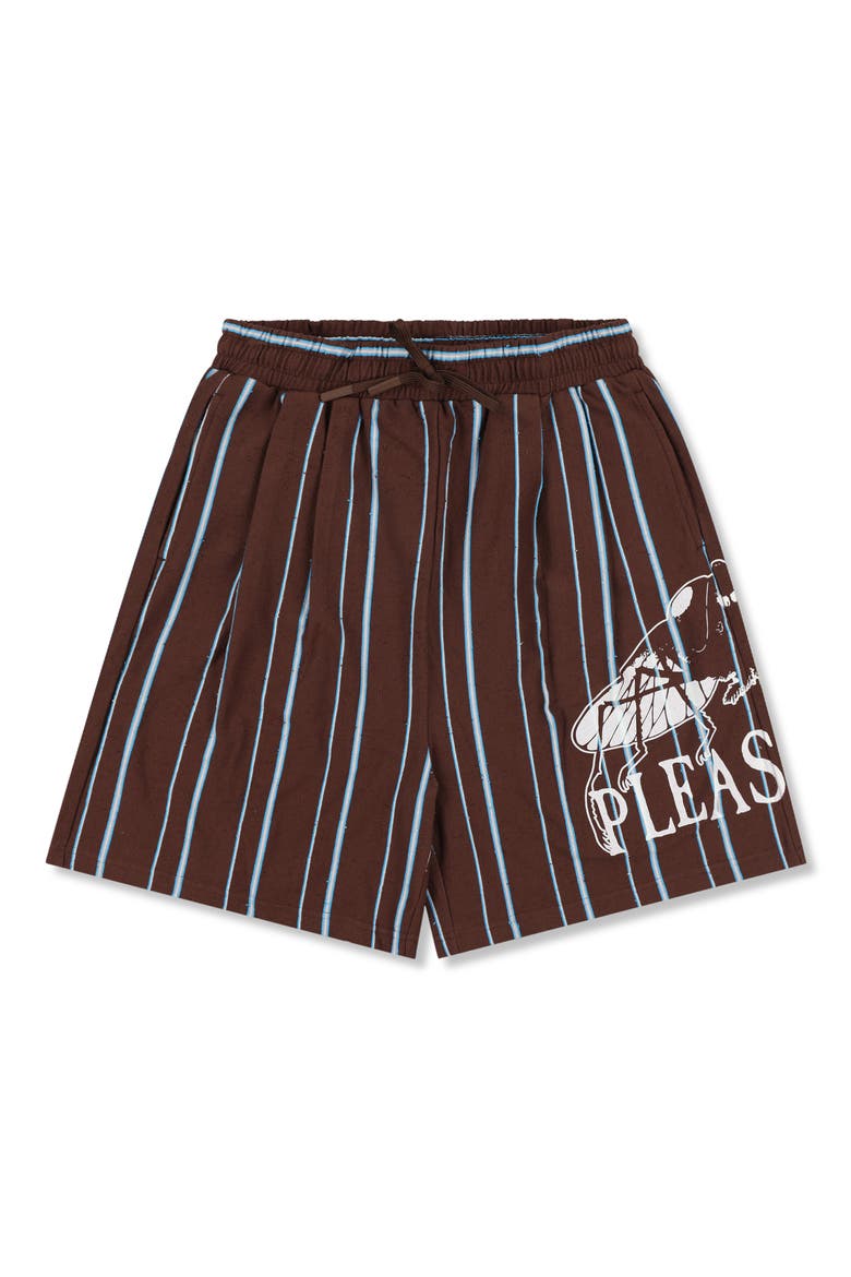 Teleport Wide Stripe Drawstring Cotton Shorts, Alternate, color, BROWN