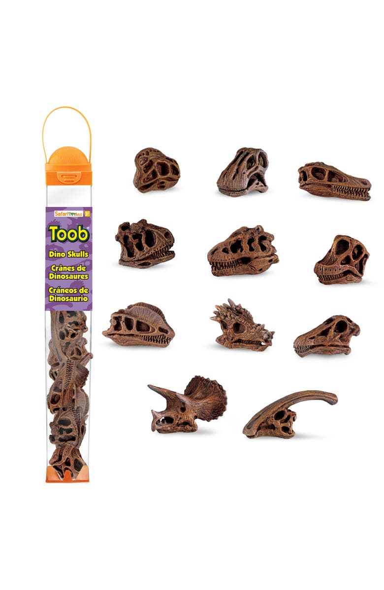 Safari Ltd. Dinosaur Skulls Toy, Main, color, NO COLOR