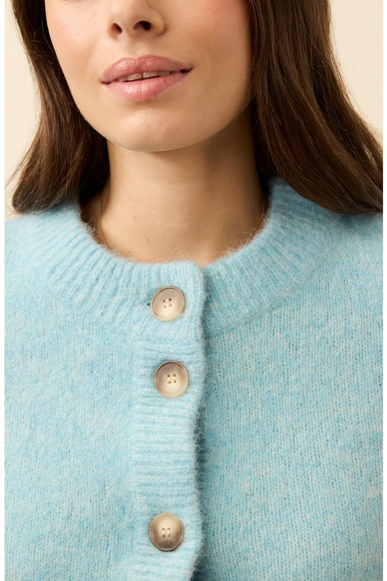 Alpine Cozy Cardigan, Alternate, color, LAKE BLUE