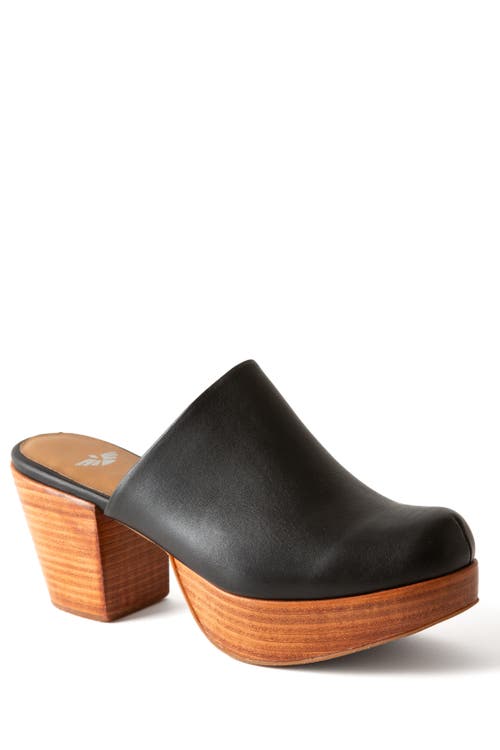 Fortress Ava Leather Clog Mule In Black