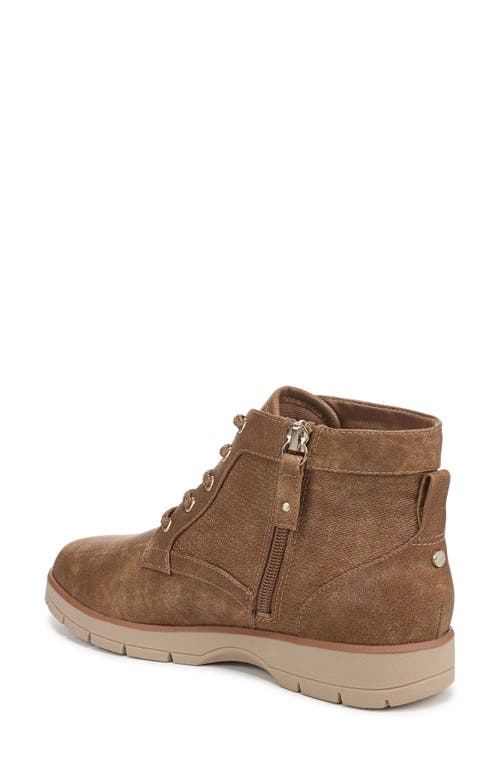 Dr. Scholl's Northstar Lace-up Bootie In Brown