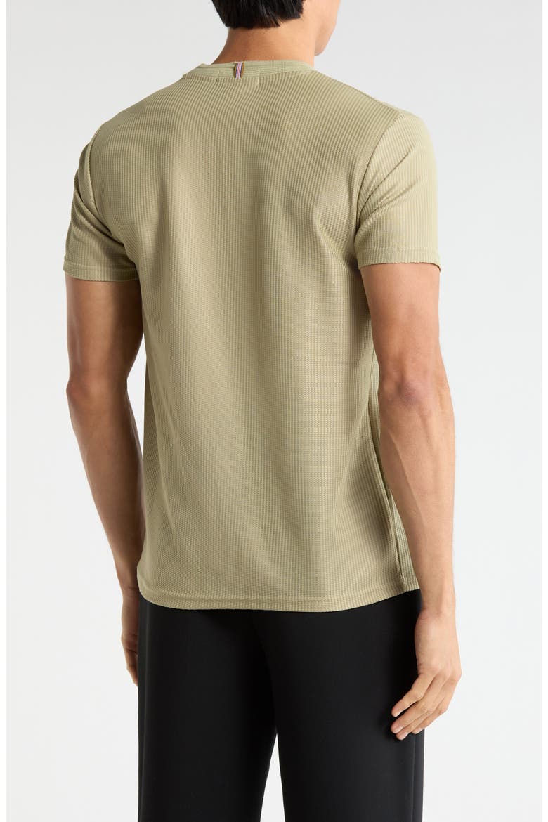 Textured Crew T-Shirt, Alternate, color, SAGE