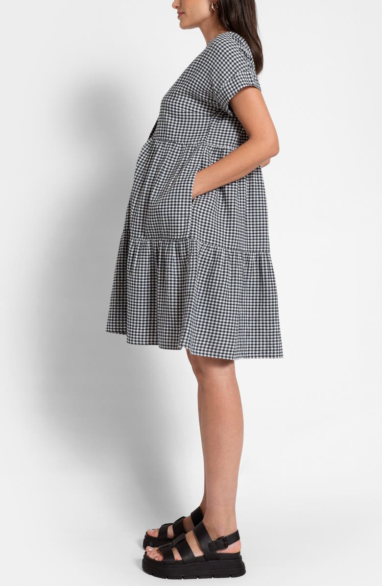 Seraphine Gingham Cotton Button-Up Maternity/Nursing Dress, Alternate, color,
