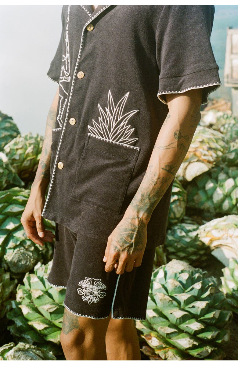 Tombolo 'Agua Mágica' Cabana Shorts, Alternate, color, 