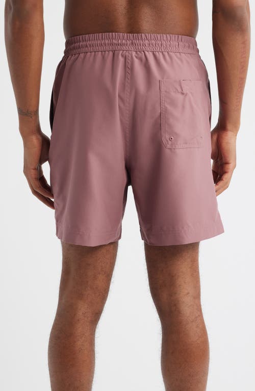 Carhartt Work In Progress Chase Swim Trunks In Purple