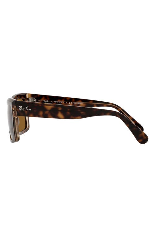 Ray Ban Ray-ban Inverness 54mm Polarized Pillow Sunglasses In Brown
