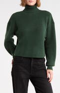 Good American Cozy Rib Turtleneck Sweater
