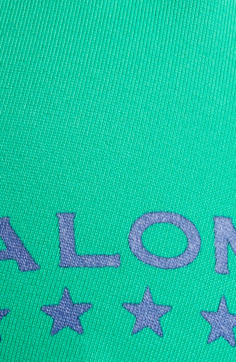 Paloma Wool Lanny Graphic Triangle Bikini Top, Alternate, color, 