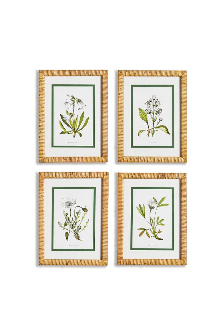 White Floral Flowers Decorative Study Framed Wall Art Prints Frame, Set of 4, Main, color, Green