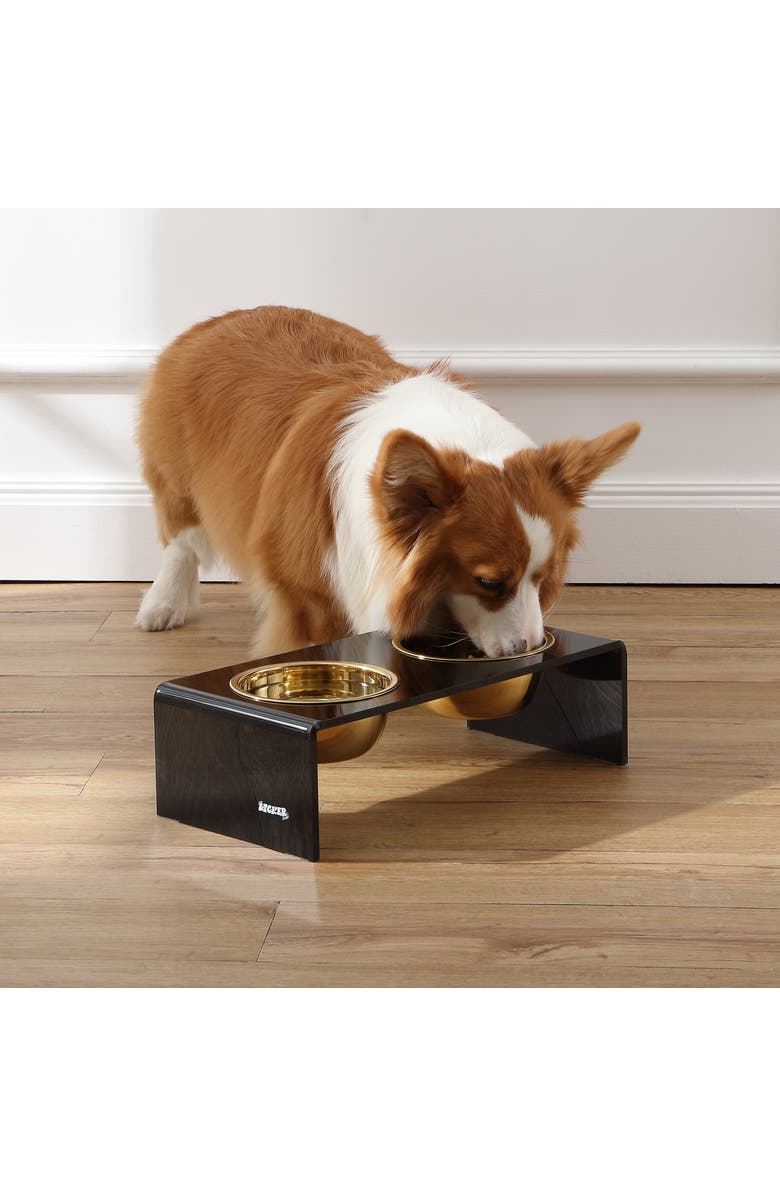 The Licker Store Keaton Modern Lucite Rectangular Elevated Pet Feeder with 2-Stainless Steel Bowls, Alternate, color, Black/Gold
