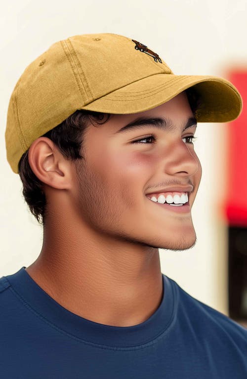 DALIX DALIX DACHSHUND EMBROIDERED DAD CAP 