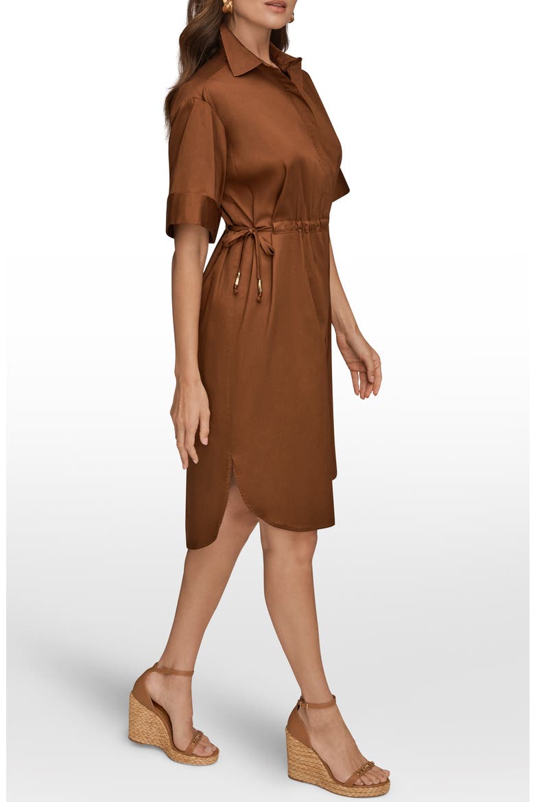 Short Sleeve Shirtdress, Alternate, color, COGNAC