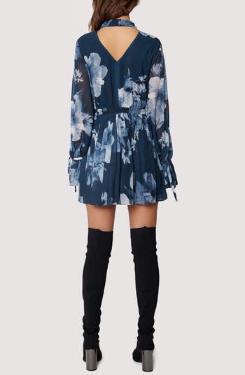 Josephine Floral Pleated Long Sleeve Dress