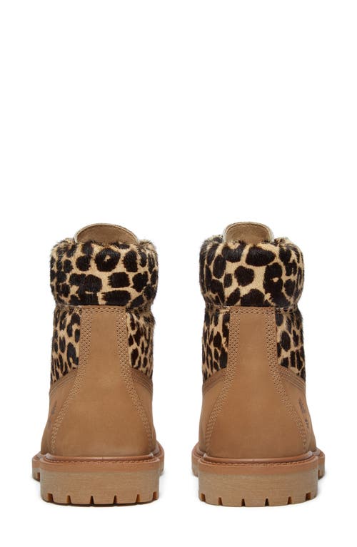 Timberland Premium Genuine Calf Hair 6-inch Waterproof Boot In Brown