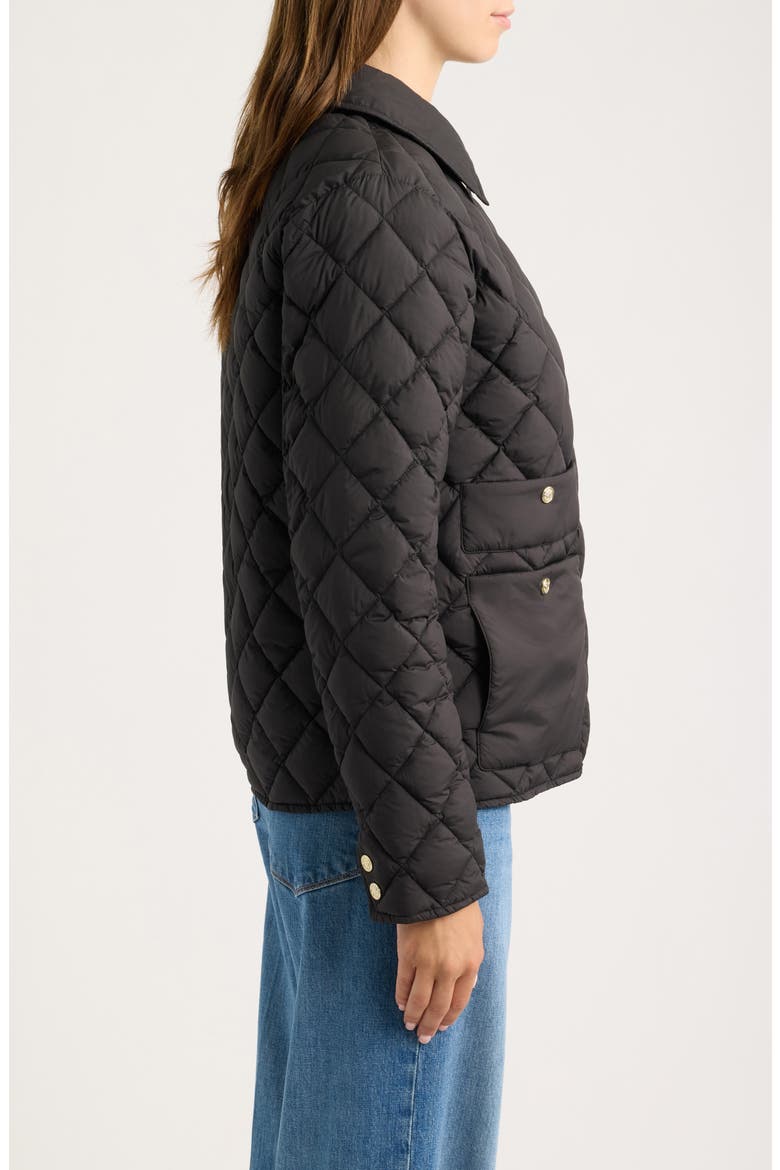 Quilted Liner Jacket, Alternate, color, BLACK