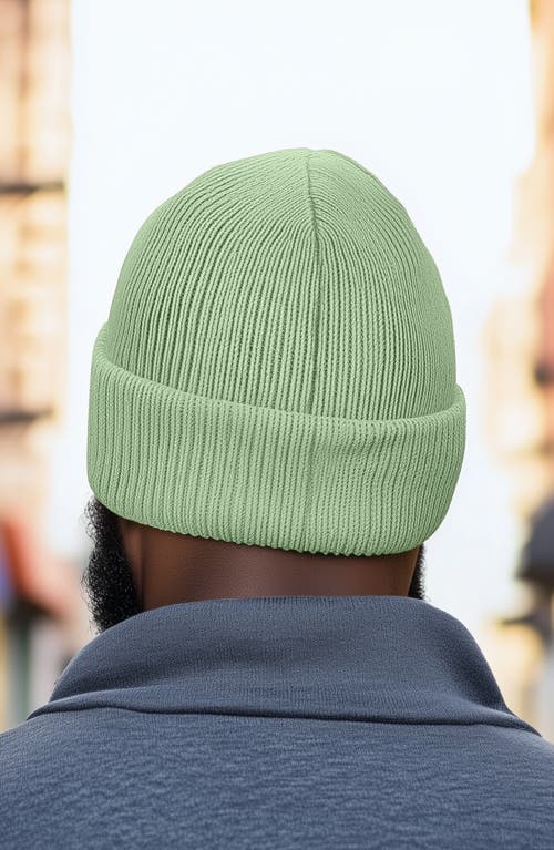 Dalix Pigeon Beanie Cap In Green