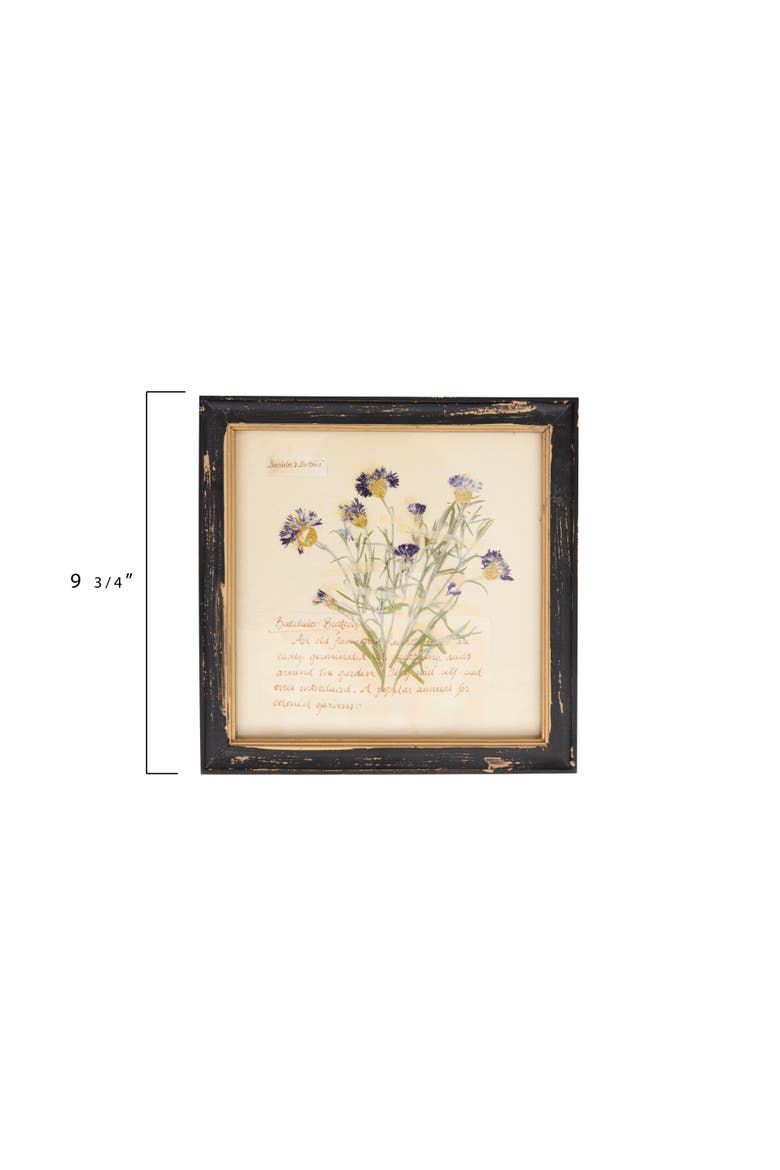 Framed Wall Décor with Floral Images and Information, Alternate, color, Cream