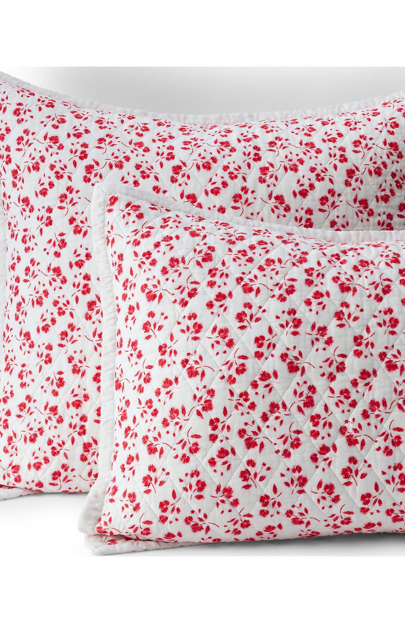 Ivory/Coral Red Blooms