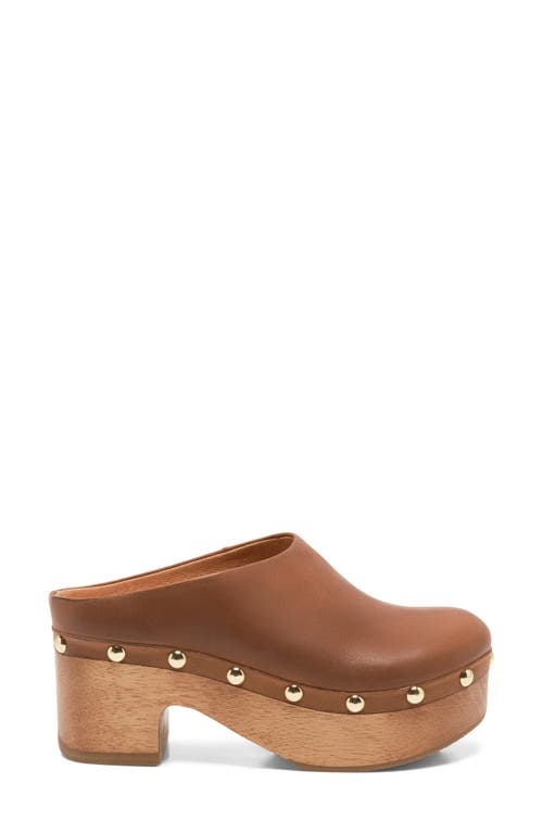 Free People Calli Platform Clog In Brown