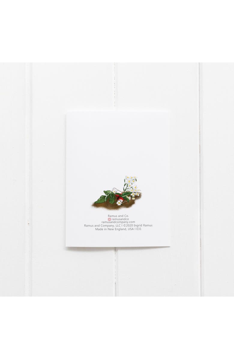 Ramus & Co Harvest Girl Greeting Card Pack Set, Alternate, color, Multi-Pack