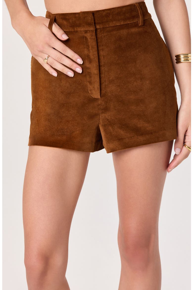 High Waist Corduroy Shorts, Alternate, color, NUTMEG