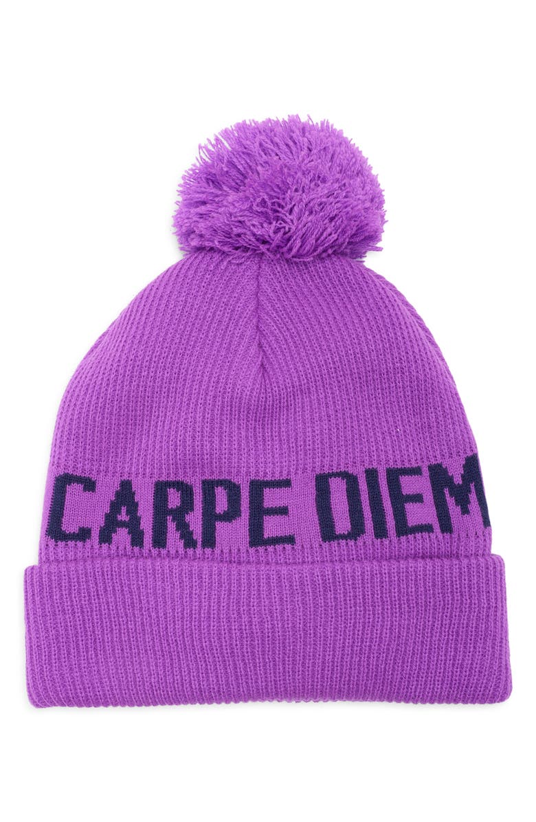 Spiritual Gangster Carpe Diem Pompom Beanie, Alternate, color,