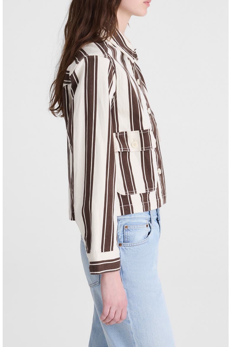 Stripe Crop Jacket, Alternate, color, DARK BROWN STRIPE