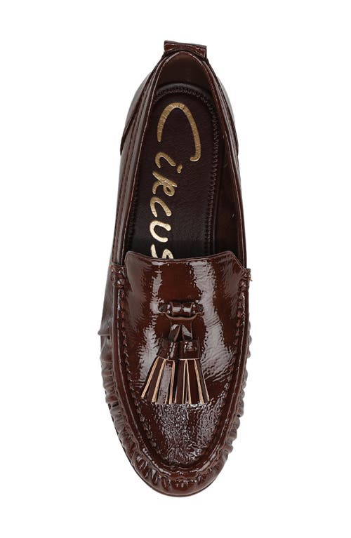Circus Ny By Sam Edelman Hudson Tassel Loafer In Brown