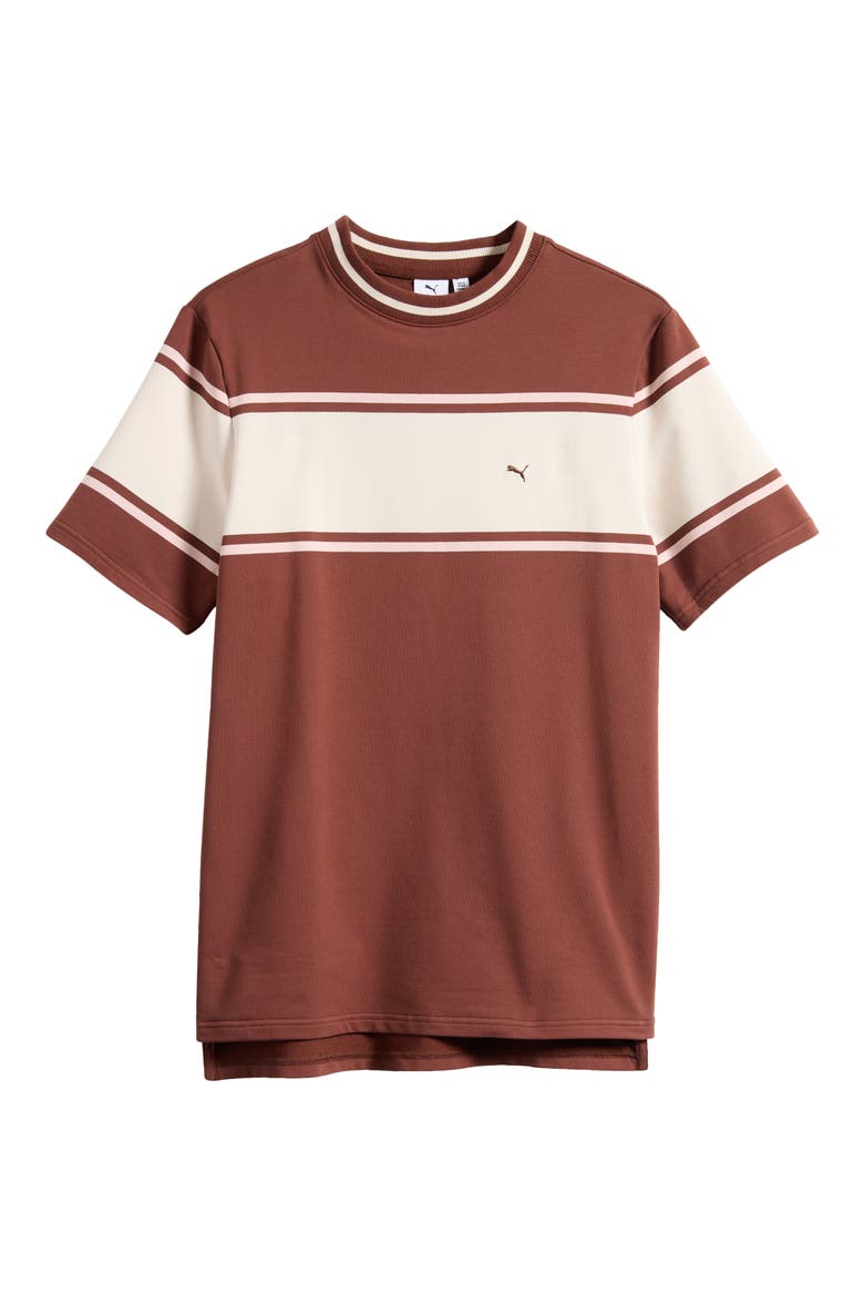 x The Brooklyn Circus Relaxed Stripe T-Shirt, Alternate, color, CHOCOTART
