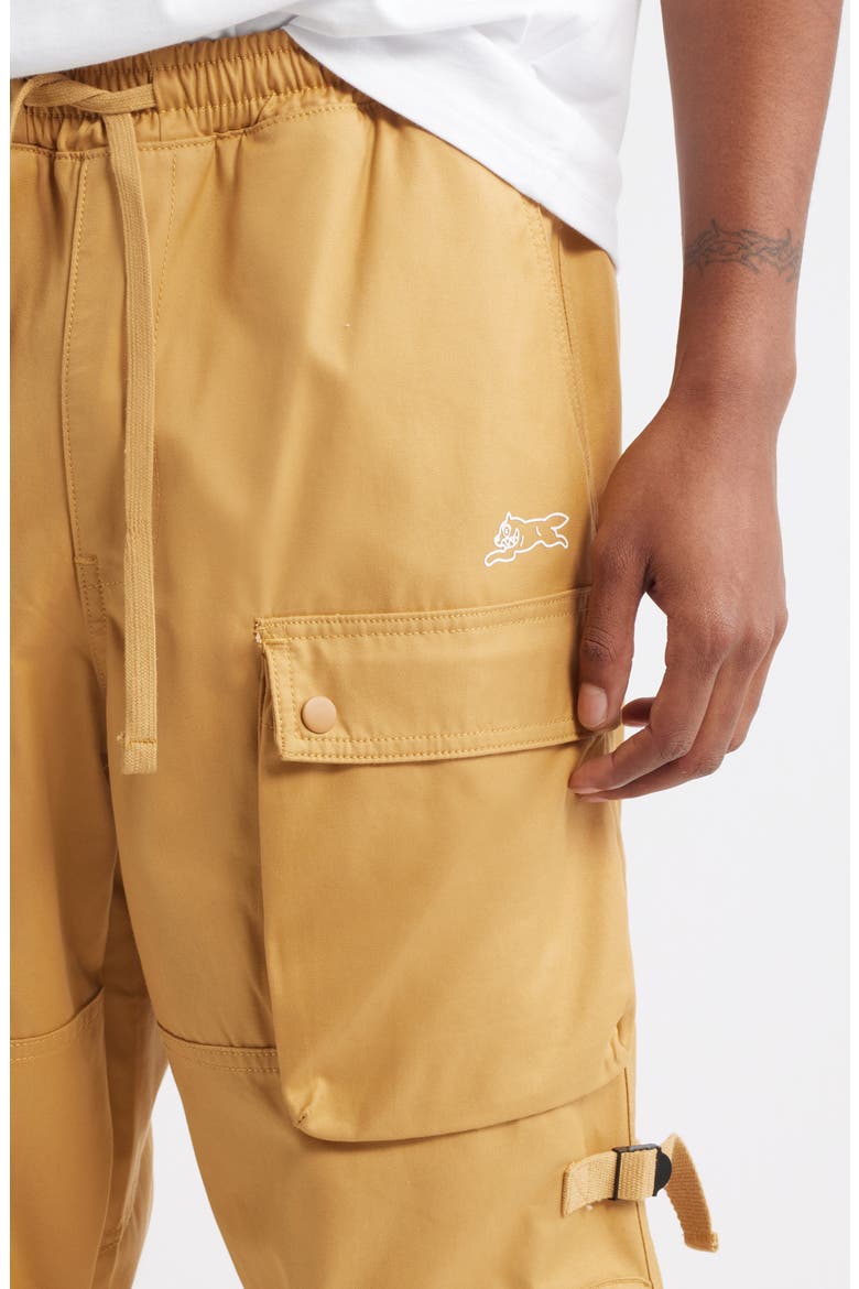 Big Bag Cotton Twill Cargo Pants, Alternate, color, APPLE CINNAMON