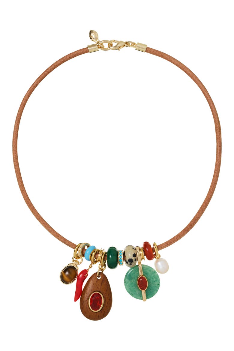 The Multicharm Leather Collar Necklace, Main, color, BROWN MULTI