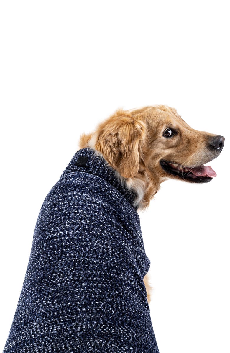 Canada Pooch Soho Sweater, Alternate, color, 