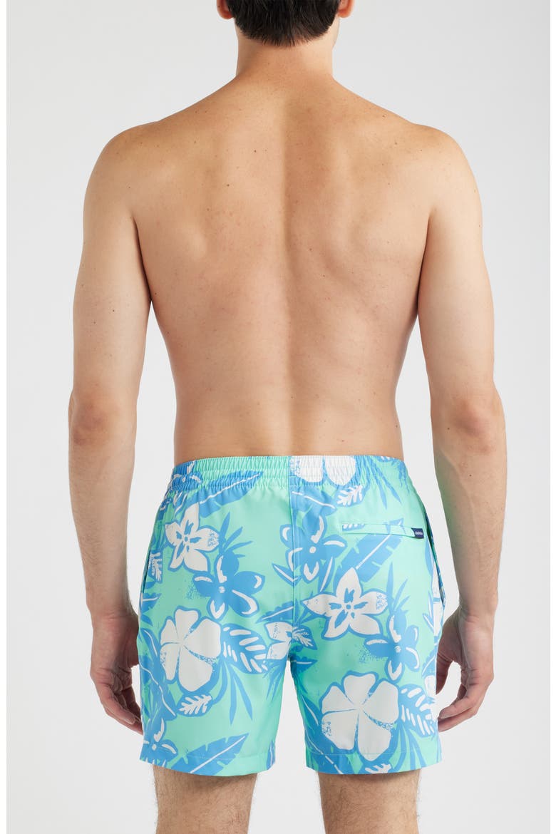 The Baja Breezies 5.5 Classic Lined Swim Trunks, Alternate, color, TEAL - PATTERN BASED