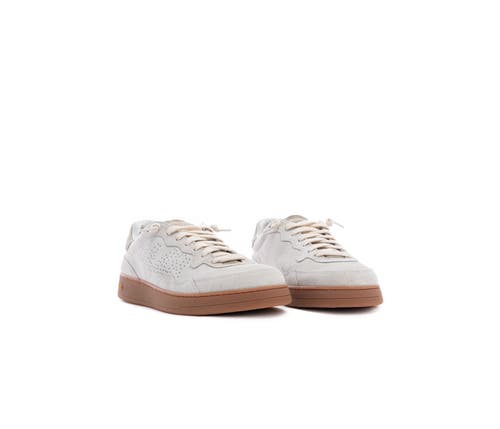 P448 Vert Sneaker In Trail