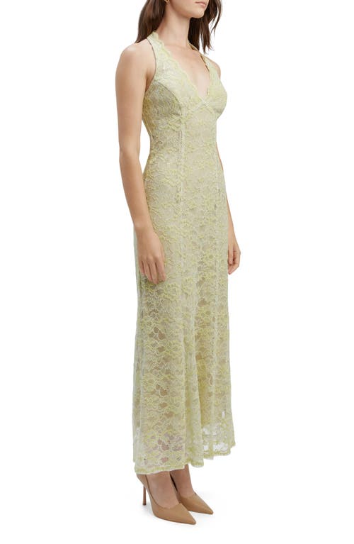 Bardot Evana Lace Midi Dress In Pale Khaki