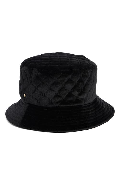 Steve Madden Quilted Velvet Bucket Hat In Black