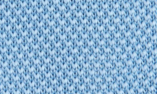 Clifton Wilson Baby Blue Knit Silk Tie