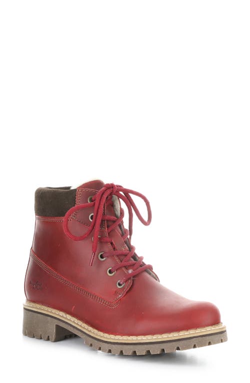 Bos. & Co. Hartt Waterproof Boot In Burgundy
