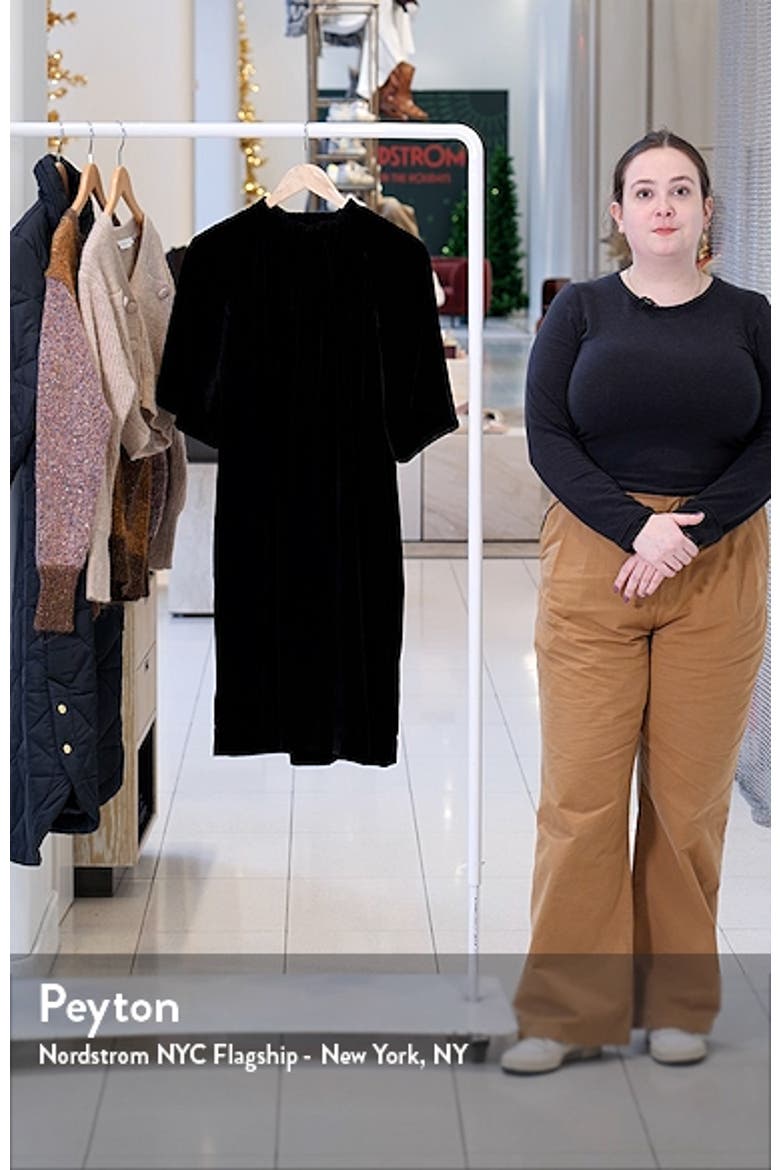 Pleated Velvet Dress video