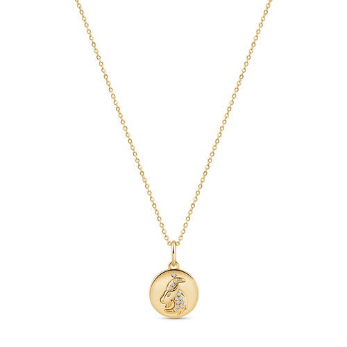 Electric Picks Beyond the Stars Zodiac Necklace in Gold- Capricorn  product
