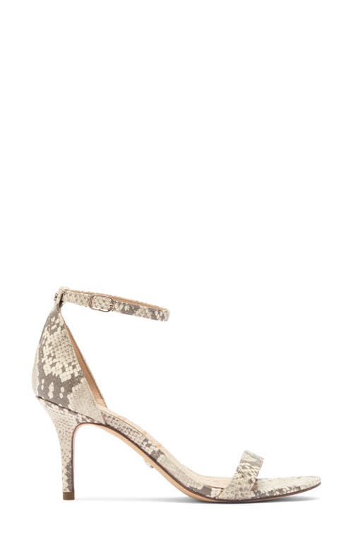 Sam Edelman Patti Ankle Strap Sandal In Roccia