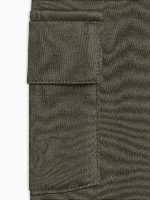 Colored Organics Organic Cotton Will Cargo Pants In Green