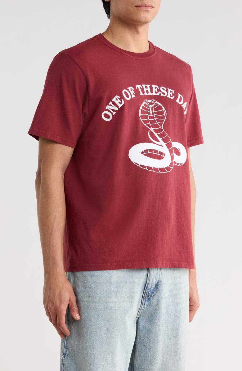 ONE OF THESE DAYS Cobra Graphic Print T-Shirt, Alternate, color, Burgundy