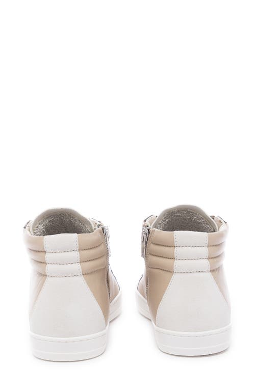 P448 Skate High Top Sneaker In Multi