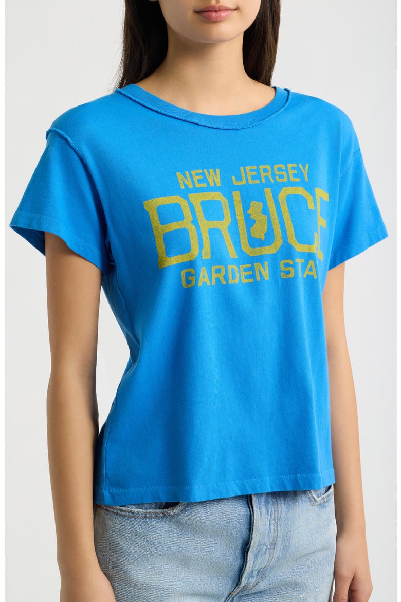Bruce Springsteen Garden State Graphic Tee, Alternate, color, AZURE BLUE