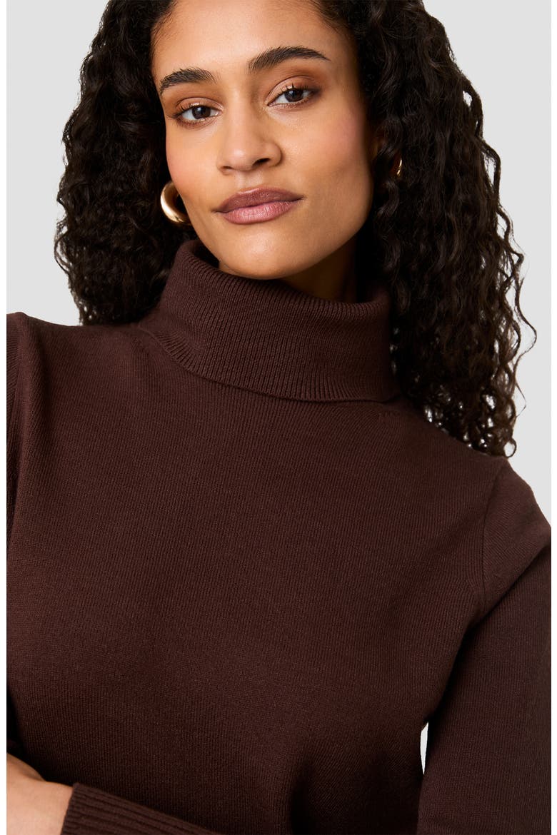 Babysoft Turtleneck Sweater, Alternate, color, COCOA BROWN